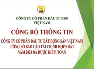 CÔNG TY CỔ PHẦN ĐẦU TƯ BẤT ĐỘNG SẢN VIỆT NAM CÔNG BỐ BÁO CÁO TÀI CHÍNH HỢP NHẤT NĂM 2023 ĐÃ ĐƯỢC KIỂM TOÁN