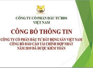 CÔNG TY CỔ PHẦN ĐẦU TƯ BẤT ĐỘNG SẢN VIỆT NAM CÔNG BỐ BÁO CÁO TÀI CHÍNH HỢP NHẤT NĂM 2019 ĐÃ ĐƯỢC KIỂM TOÁN