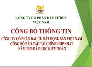 CÔNG TY CỔ PHẦN ĐẦU TƯ BẤT ĐỘNG SẢN VIỆT NAM CÔNG BỐ BÁO CÁO TÀI CHÍNH HỢP NHẤT NĂM 2020 ĐÃ ĐƯỢC KIỂM TOÁN