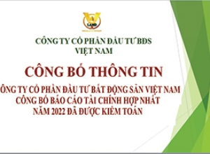 CÔNG TY CỔ PHẦN ĐẦU TƯ BẤT ĐỘNG SẢN VIỆT NAM CÔNG BỐ BÁO CÁO TÀI CHÍNH HỢP NHẤT NĂM 2022 ĐÃ ĐƯỢC KIỂM TOÁN