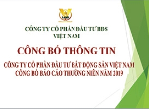 CÔNG TY CỔ PHẦN ĐẦU TƯ BẤT ĐỘNG SẢN VIỆT NAM CÔNG BỐ BÁO CÁO THƯỜNG NIÊN NĂM 2019