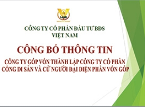 CÔNG TY GÓP VỐN THÀNH LẬP CÔNG TY CỔ PHẦN CỔNG DI SẢN VÀ CỬ NGƯỜI ĐẠI DIỆN PHẦN VỐN GÓP