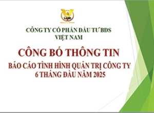 BÁO CÁO TÌNH HÌNH QUẢN TRỊ CÔNG TY 6 THÁNG ĐẦU NĂM 2025